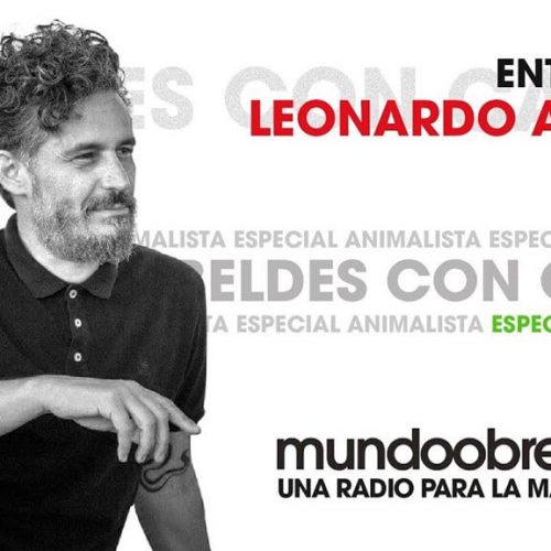 Entrevista con Leonardo Anselmi _ Especial animalista